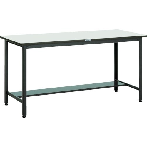 TRUSCO 中荷重立作業台(500kg)HAEW