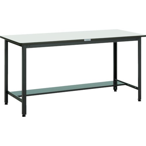 TRUSCO 中荷重立作業台(500kg)HAEW