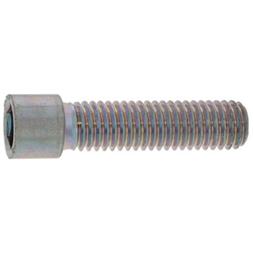 SUNCO ステンレス 小頭CAP 8×35 (1