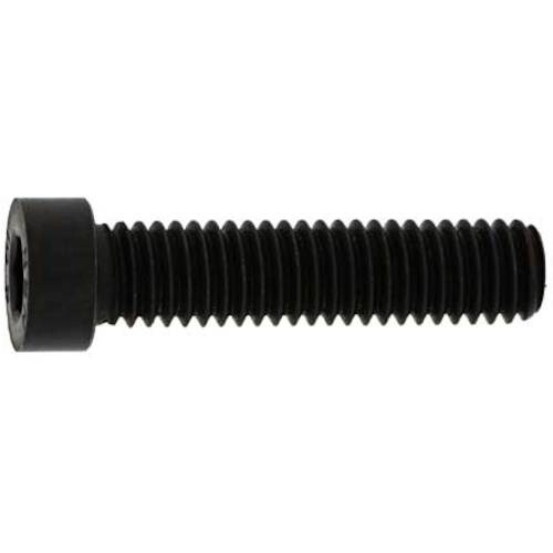 SUNCO 小頭ローヘッドCAP 5×8 (500