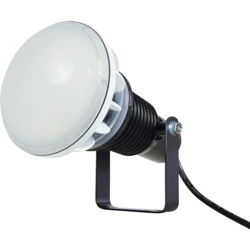 NICHIDO エコビックLED投光器40W 常設