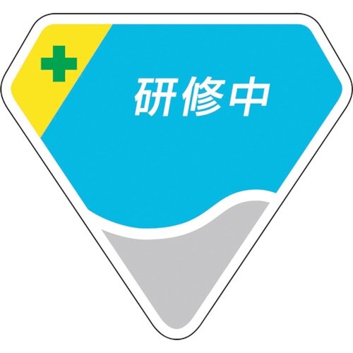 ユニット ベルセード製胸章 研修中