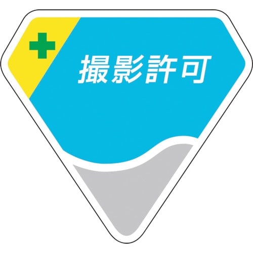 ユニット ベルセード製胸章 撮影許可