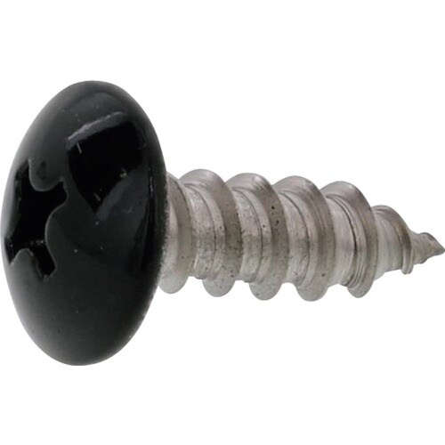 SUNCO 頭部ブラック ステン(+)Aトラス 4