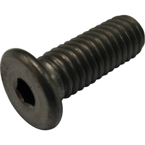 コノエ 極低頭六角穴付きボルト チタン M3x10