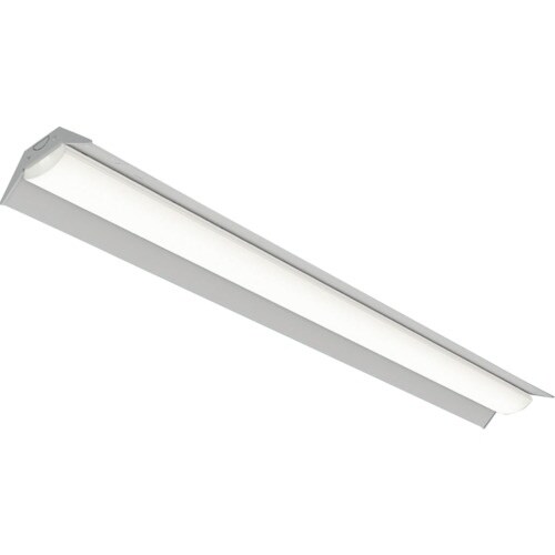 IRIS 41006964 ベースライト 笠付トラ