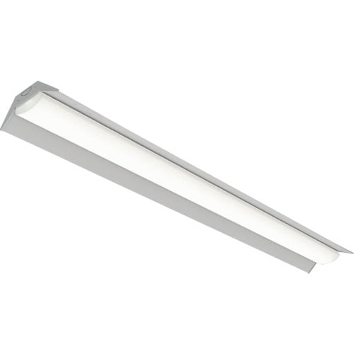 IRIS 41006951 ベースライト 笠付トラ