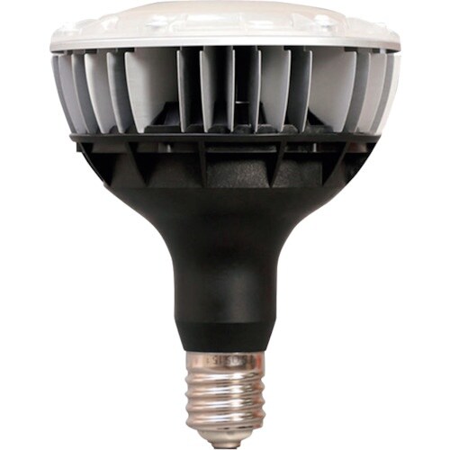 IRIS 273941 E39口金 バラストレス水