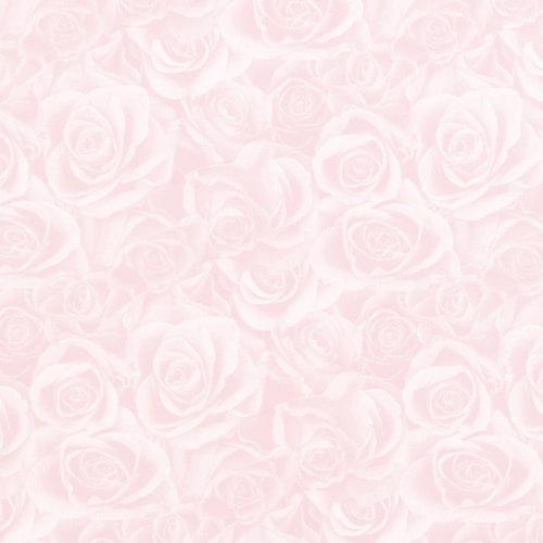 HEIKO 包装紙 グレイスフル P 半才 50枚