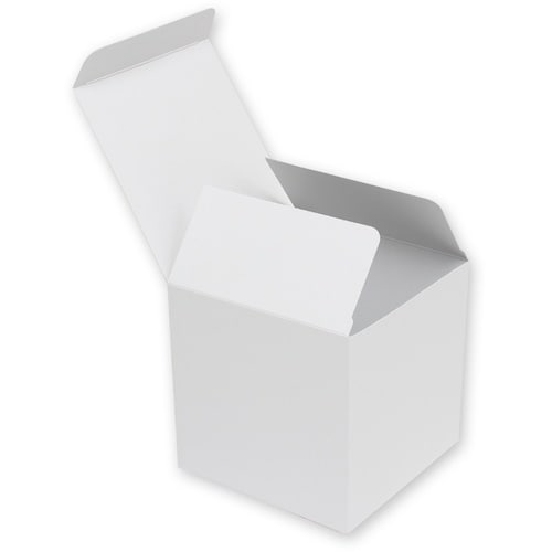 HEIKO 白無地箱 H−79 サック式 10枚入