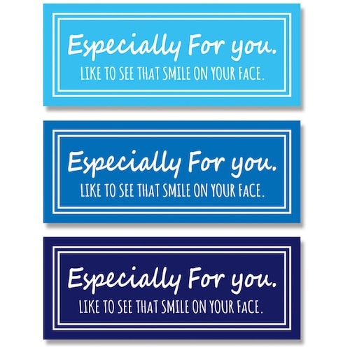 HEIKO 強粘ギフトシール ユニバーサル スカイ