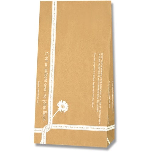 HEIKO 角底袋 ルバン No.4 100枚入り