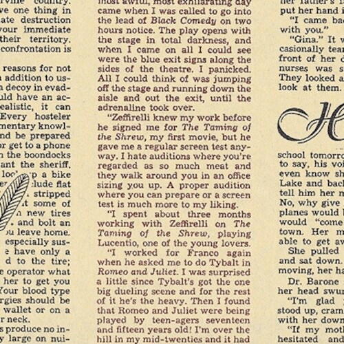 HEIKO 包装紙 フェザーイニシャル 半才半晒