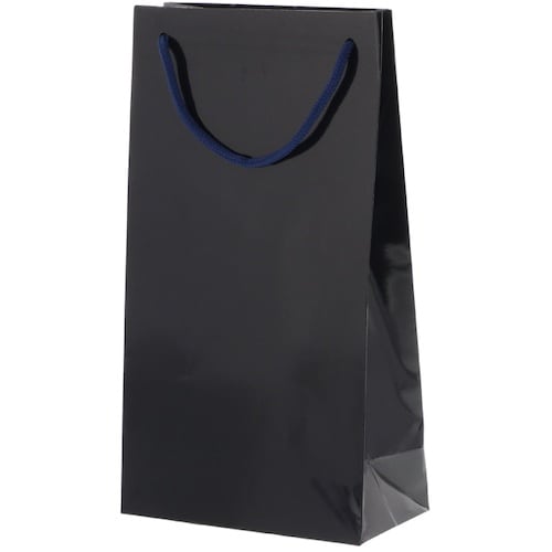 HEIKO 手提げ紙袋 ブライトバッグ ワイン2本