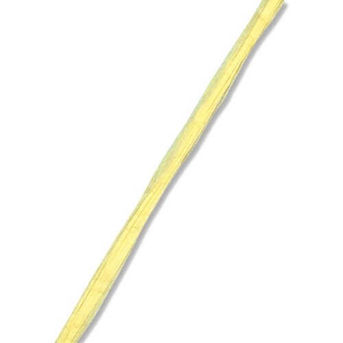 HEIKO ペーパーラフィア 5×50 05 イエ