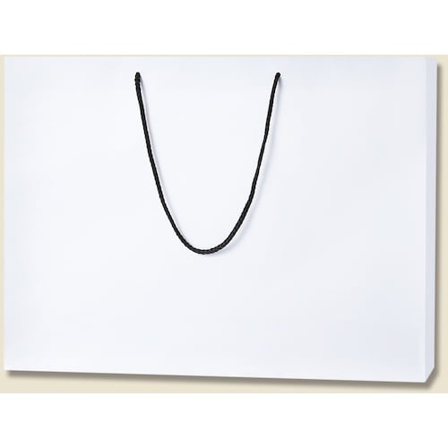 HEIKO 手提げ紙袋 ブライトバッグ 白(MT)