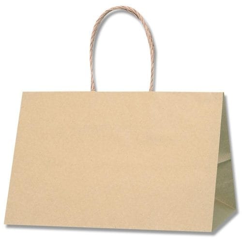 HEIKO 手提げ紙袋 Pスムースバッグ 未晒無地