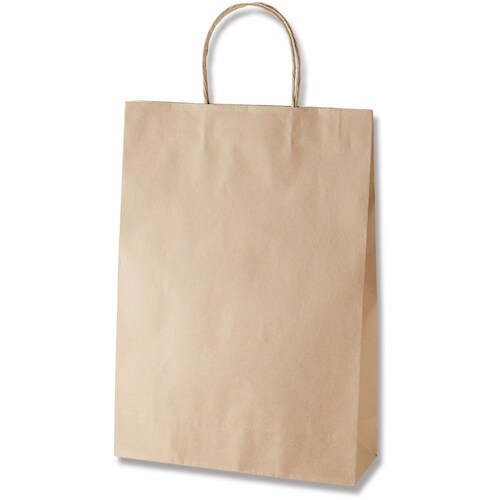 HEIKO 手提げ紙袋 スムースバッグ 未晒無地