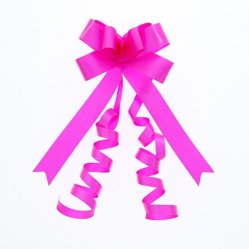 HEIKO リボンボウ ビューティ 22mm巾 5