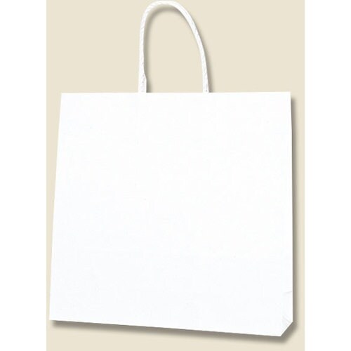 HEIKO 手提げ紙袋 スムースバッグ 白無地 3