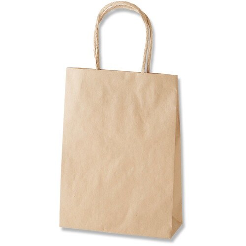 HEIKO 手提げ紙袋 スムースバッグ 未晒無地