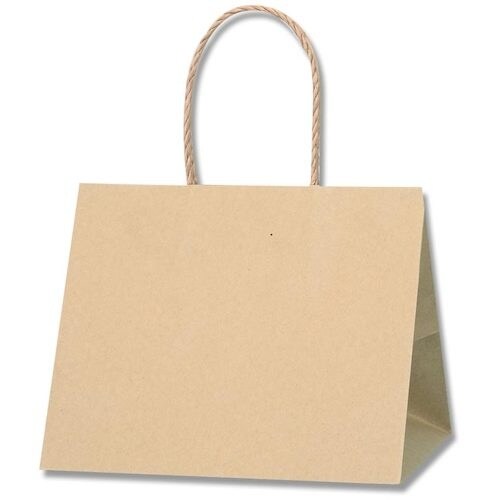 HEIKO 手提げ紙袋 Pスムースバッグ 未晒無地