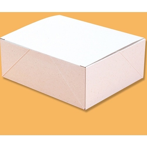 HEIKO エコパームボックス 無地 プレーンL