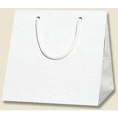 HEIKO 手提げ紙袋 ブライトバッグ 白 C2