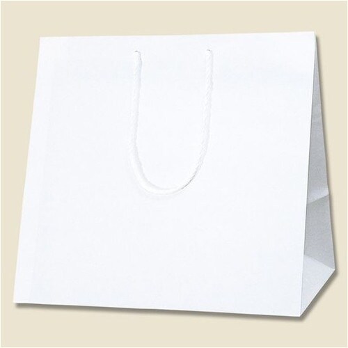 HEIKO 手提げ紙袋 アレンジバッグ 白無地 S
