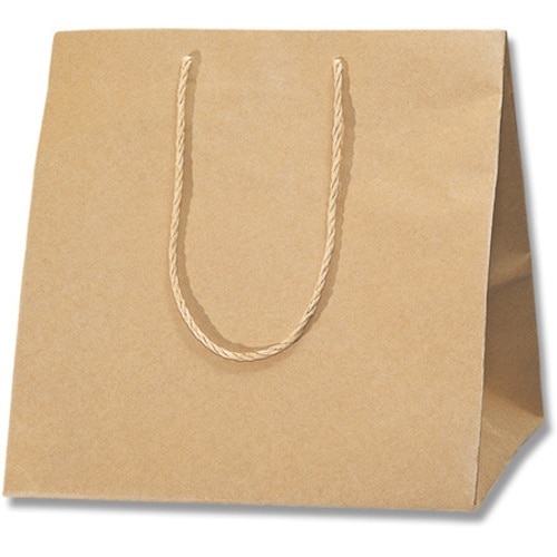 HEIKO 手提げ紙袋 アレンジバッグ 未晒無地