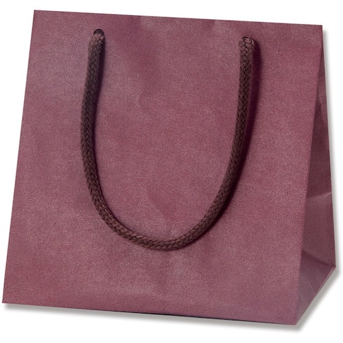 HEIKO 手提げ紙袋 カラーチャームバッグ エン