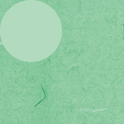 HEIKO 包装紙 ふうび 緑 半才 100枚入り