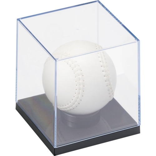 蝶プラ ソフトボールケース