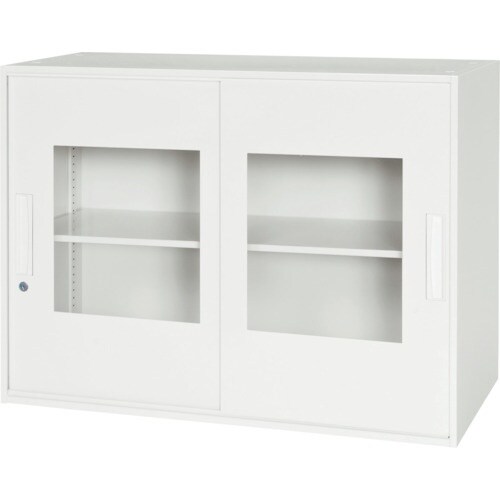 DAISHIN 壁面収納庫窓付き2枚窓付き引戸タイ