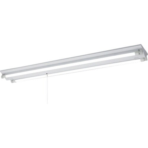 岩崎 LDL40×1灯用逆富士形PS付定格出力形L
