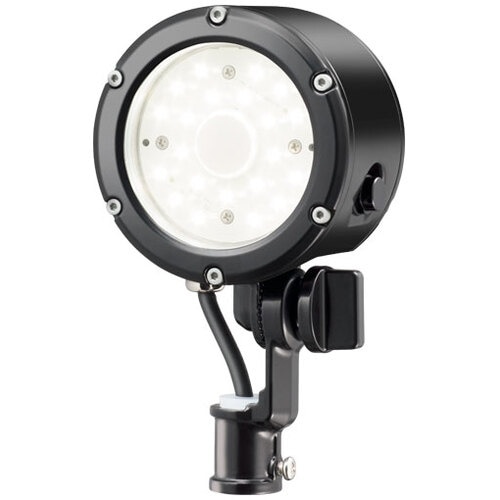 岩崎 小型LED投光器 (14W/広角/黒)