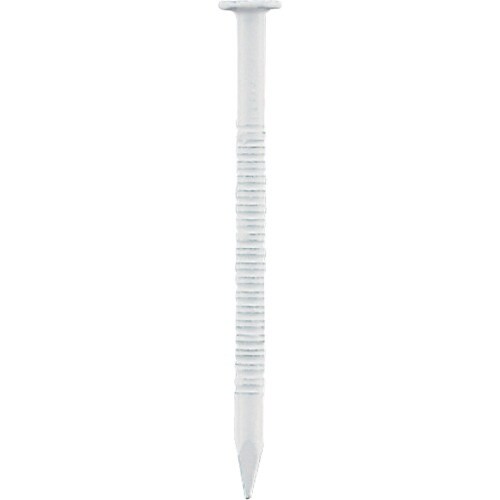 WAKAI ステンレス釘 リング布目頭 白タッチア