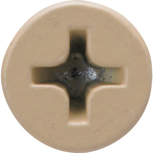 WAKAI 軽天一発ビス ラッパ 特殊色 ベージュ