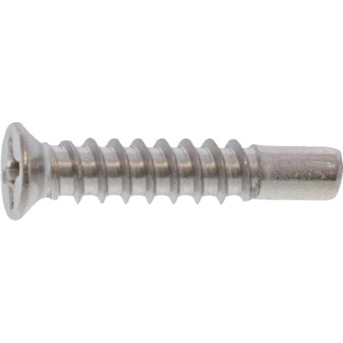 TRUSCO 皿頭タッピングねじ 2種BRP ステ