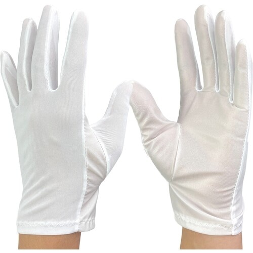 WINCESS 防塵手袋 (12双入り) LLサイ