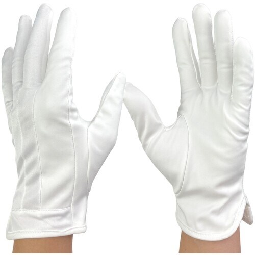 WINCESS マイクロファイバー手袋 (10双入