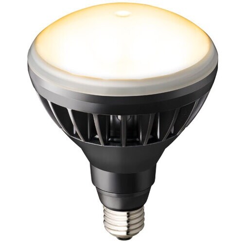 岩崎 LEDアイランプ11Wタイプ(本体:黒色 光