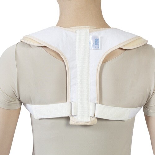 竹虎 成形副木 ニュートラビクルバンド M