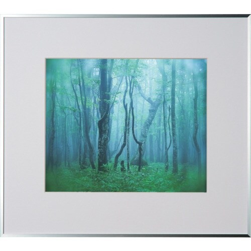 Kenko 1250142 アルミ額縁 ギャラリー