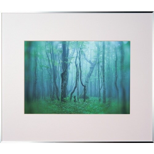 Kenko 1250148 アルミ額縁 ギャラリー