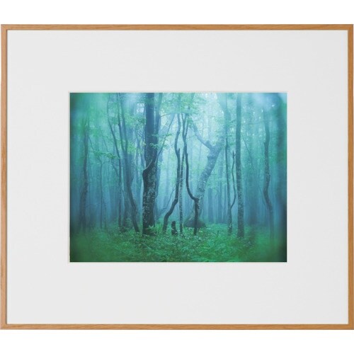 Kenko 1250153 アルミ額縁 ギャラリー