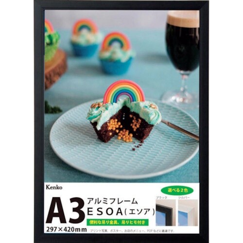 Kenko 1250189 ダイレクトフレーム E