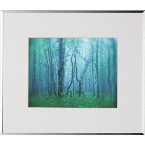 Kenko 1250141 アルミ額縁 ギャラリー