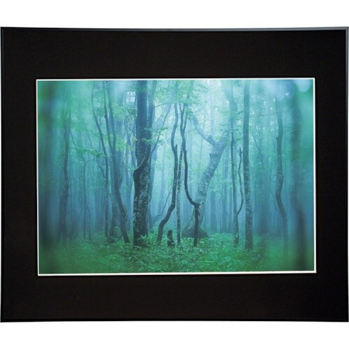 Kenko 1250138 アルミ額縁 ギャラリー