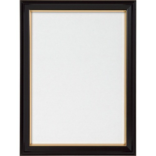 Kenko 1250164 慰霊額縁 2L PS−